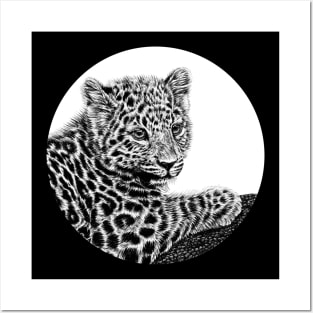 Amur leopard cub circle Posters and Art
